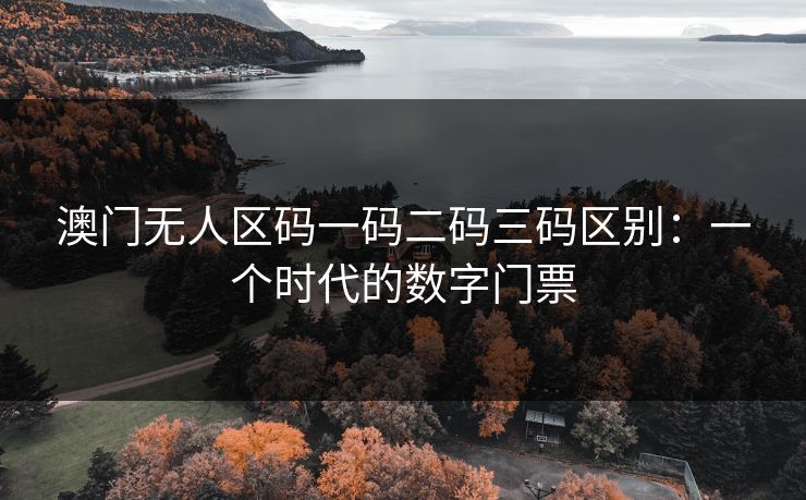 澳门无人区码一码二码三码区别:一个时代的数字门票