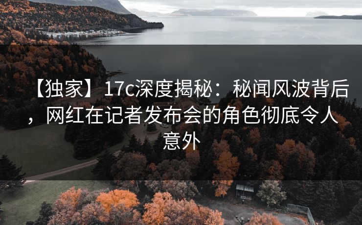 【独家】17c深度揭秘：秘闻风波背后，网红在记者发布会的角色彻底令人意外