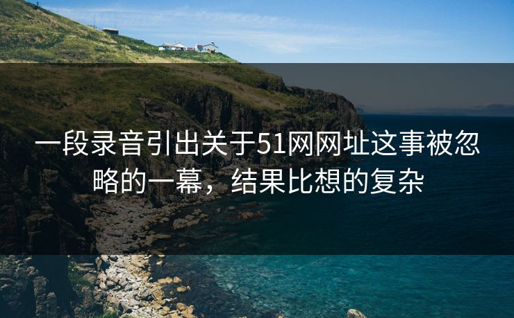 一段录音引出关于51网网址这事被忽略的一幕，结果比想的复杂